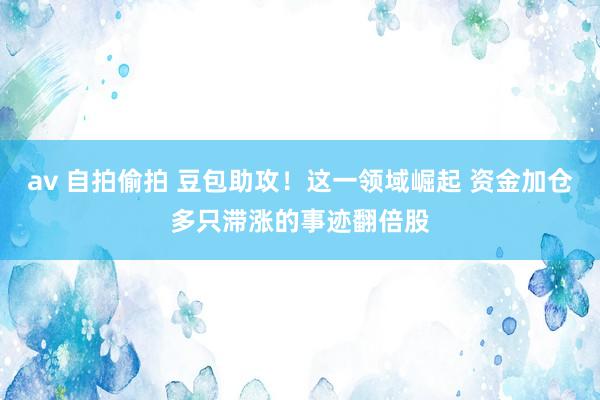 av 自拍偷拍 豆包助攻！这一领域崛起 资金加仓多只滞涨的事迹翻倍股