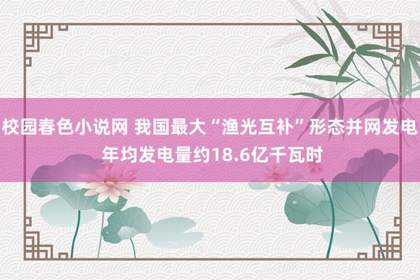 校园春色小说网 我国最大“渔光互补”形态并网发电 年均发电量约18.6亿千瓦时