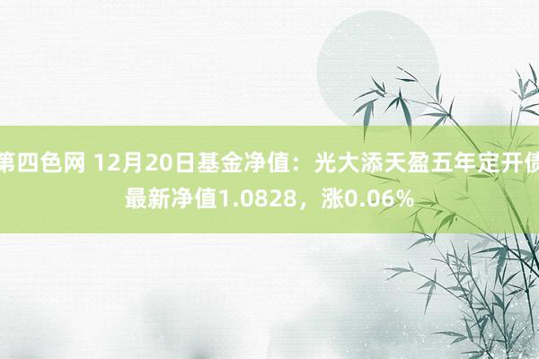 第四色网 12月20日基金净值：光大添天盈五年定开债最新净值1.0828，涨0.06%