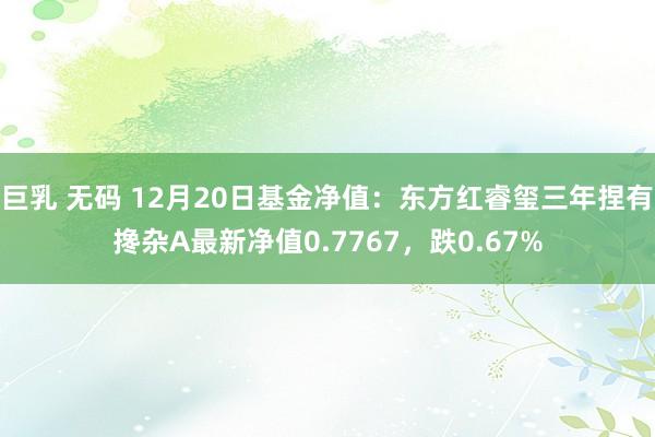 巨乳 无码 12月20日基金净值：东方红睿玺三年捏有搀杂A最新净值0.7767，跌0.67%