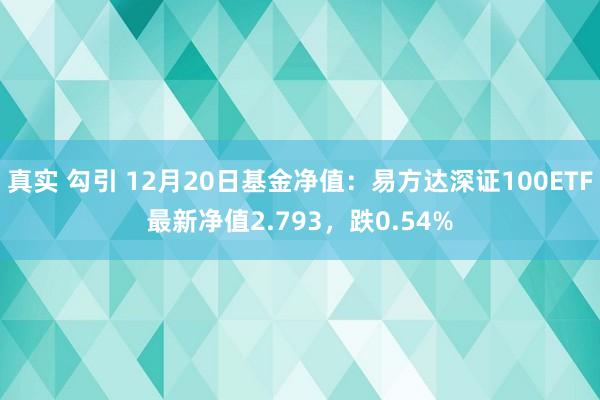 真实 勾引 12月20日基金净值：易方达深证100ETF最新净值2.793，跌0.54%