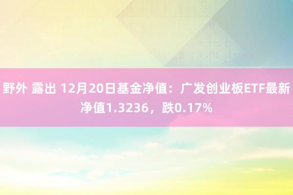 野外 露出 12月20日基金净值：广发创业板ETF最新净值1.3236，跌0.17%