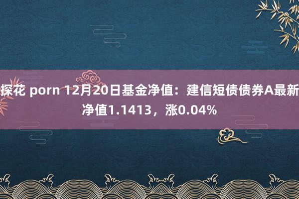 探花 porn 12月20日基金净值：建信短债债券A最新净值1.1413，涨0.04%