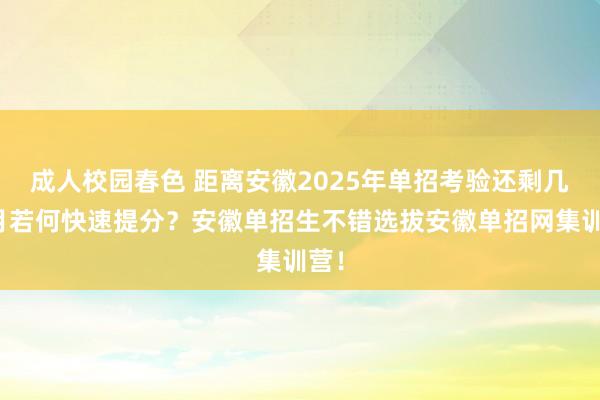 成人校园春色 距离安徽2025年单招考验还剩几个月若何快速提分？安徽单招生不错选拔安徽单招网集训营！