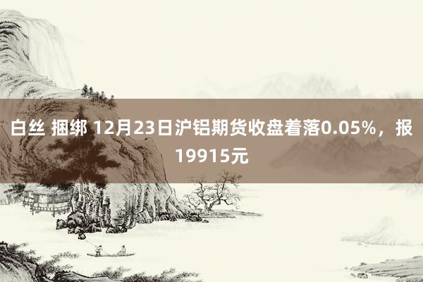 白丝 捆绑 12月23日沪铝期货收盘着落0.05%，报19915元