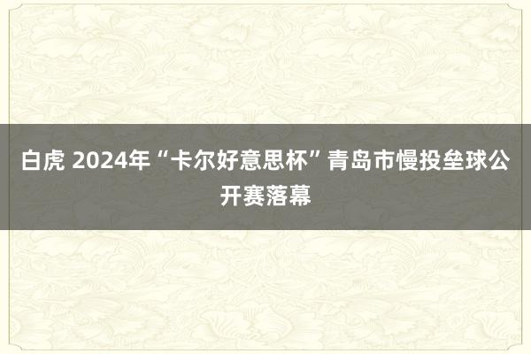 白虎 2024年“卡尔好意思杯”青岛市慢投垒球公开赛落幕