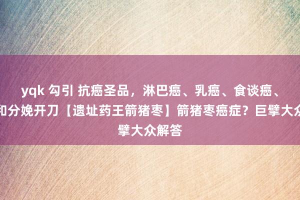 yqk 勾引 抗癌圣品，淋巴癌、乳癌、食谈癌、肝癌和分娩开刀【遗址药王箭猪枣】箭猪枣癌症？巨擘大众解答