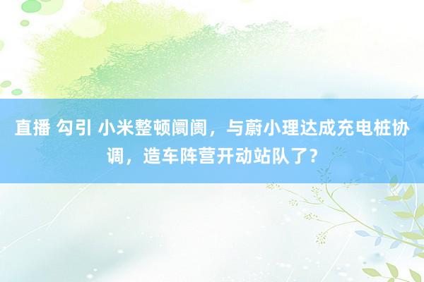 直播 勾引 小米整顿阛阓，与蔚小理达成充电桩协调，造车阵营开动站队了？