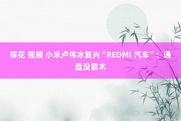 探花 视频 小米卢伟冰复兴“REDMI 汽车”：通盘没霸术