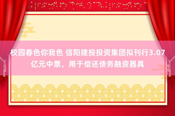 校园春色你我色 信阳建投投资集团拟刊行3.07亿元中票，用于偿还债务融资器具