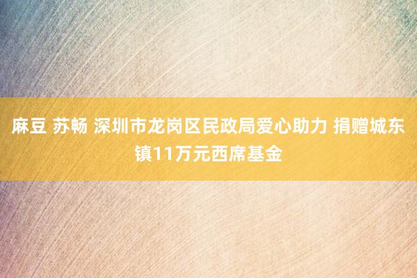 麻豆 苏畅 深圳市龙岗区民政局爱心助力 捐赠城东镇11万元西席基金