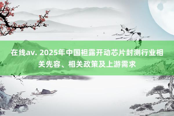 在线av. 2025年中国袒露开动芯片封测行业相关先容、相关政策及上游需求