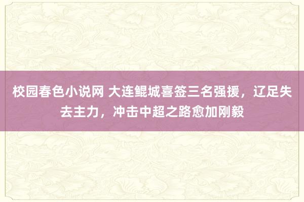 校园春色小说网 大连鲲城喜签三名强援，辽足失去主力，冲击中超之路愈加刚毅