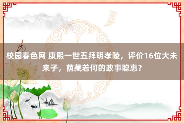 校园春色网 康熙一世五拜明孝陵，评价16位大未来子，荫藏若何的政事聪惠？