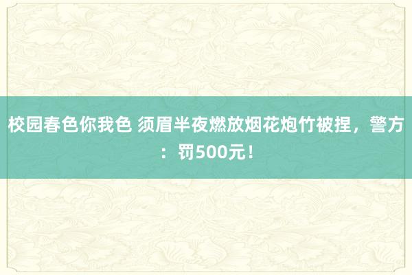 校园春色你我色 须眉半夜燃放烟花炮竹被捏，警方：罚500元！