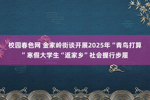 校园春色网 金家岭街谈开展2025年“青鸟打算”寒假大学生“返家乡”社会握行步履