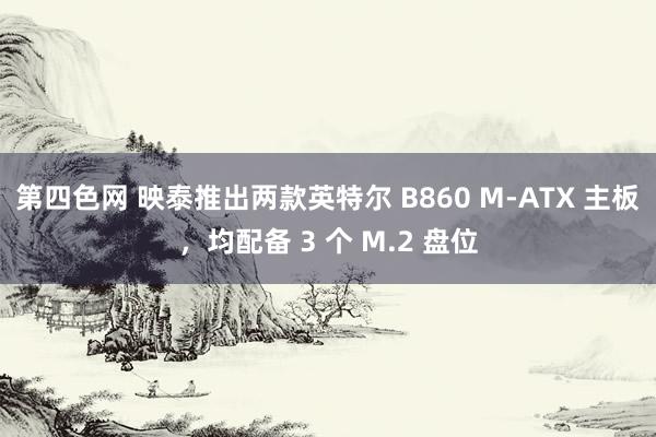 第四色网 映泰推出两款英特尔 B860 M-ATX 主板，均配备 3 个 M.2 盘位