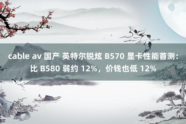 cable av 国产 英特尔锐炫 B570 显卡性能首测：比 B580 弱约 12%，价钱也低 12%