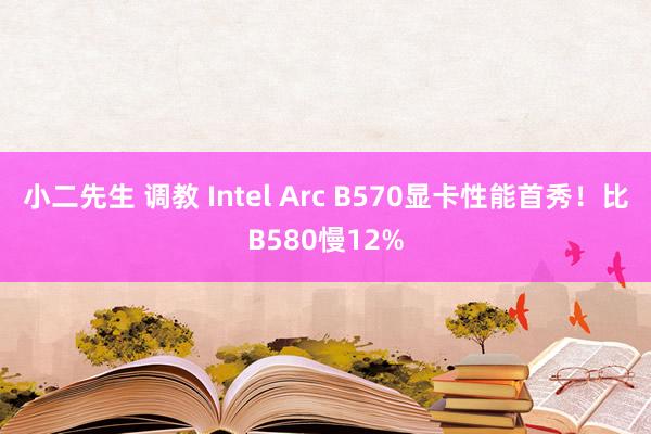 小二先生 调教 Intel Arc B570显卡性能首秀！比B580慢12%