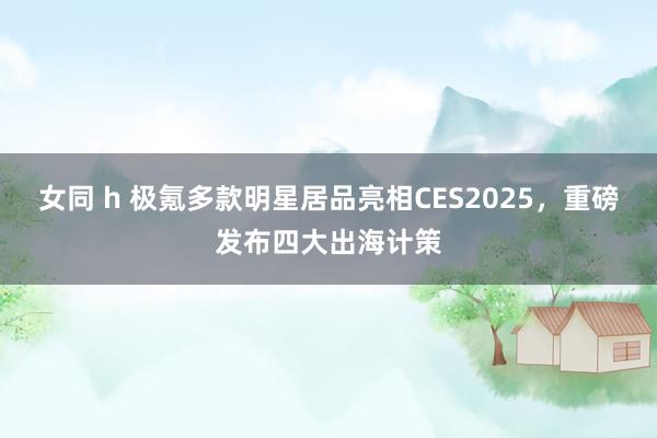 女同 h 极氪多款明星居品亮相CES2025，重磅发布四大出海计策