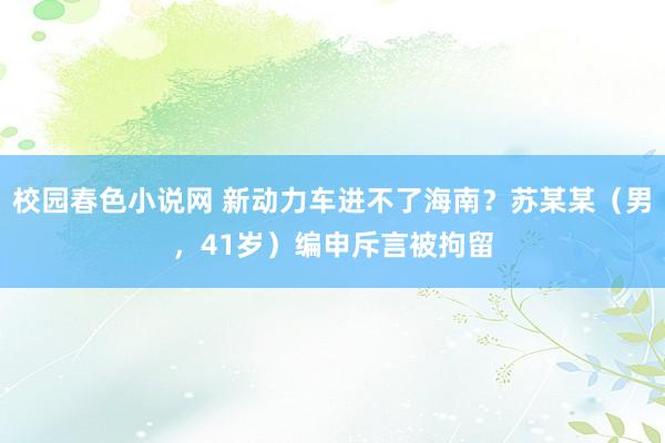 校园春色小说网 新动力车进不了海南？苏某某（男，41岁）编申斥言被拘留